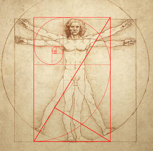 Leonardo da Vinci 1490 Gallerie dell Accademia Venice Italy