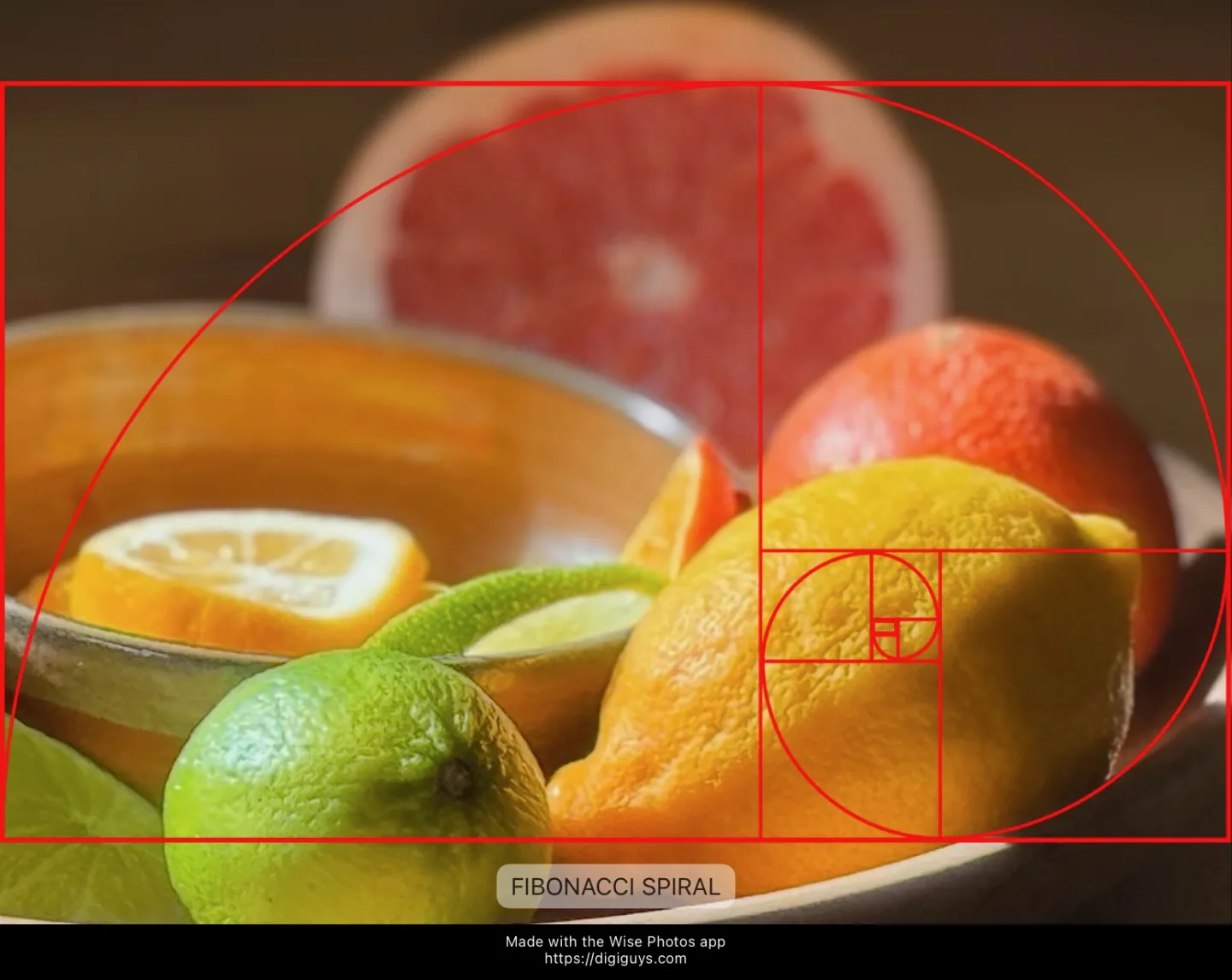 Wise Photos app on an iPad