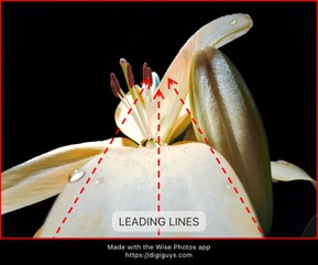 Leading Lines composition rule
