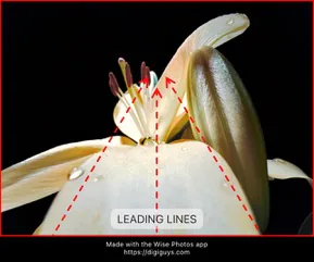 Leading Lines composition rule