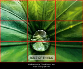 Rule of Thirds composition rule
