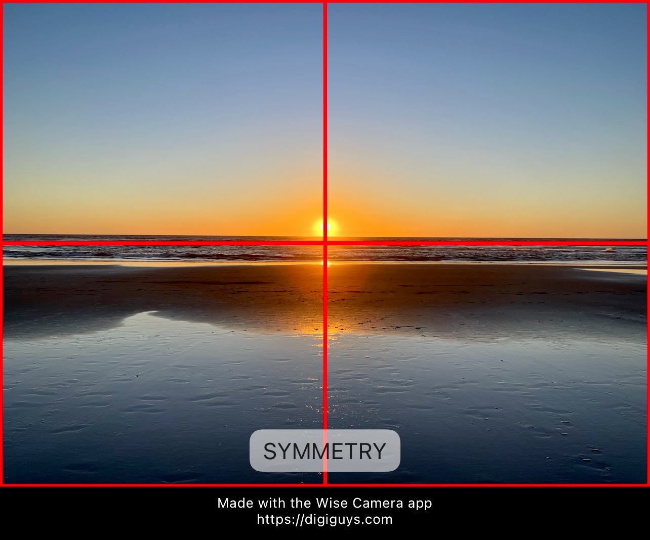 Wise Camera app Symmetry composition rule