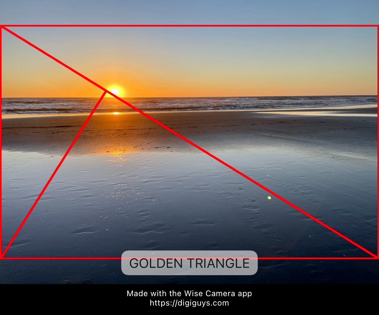 Wise Camera Golden Triangle composition rule