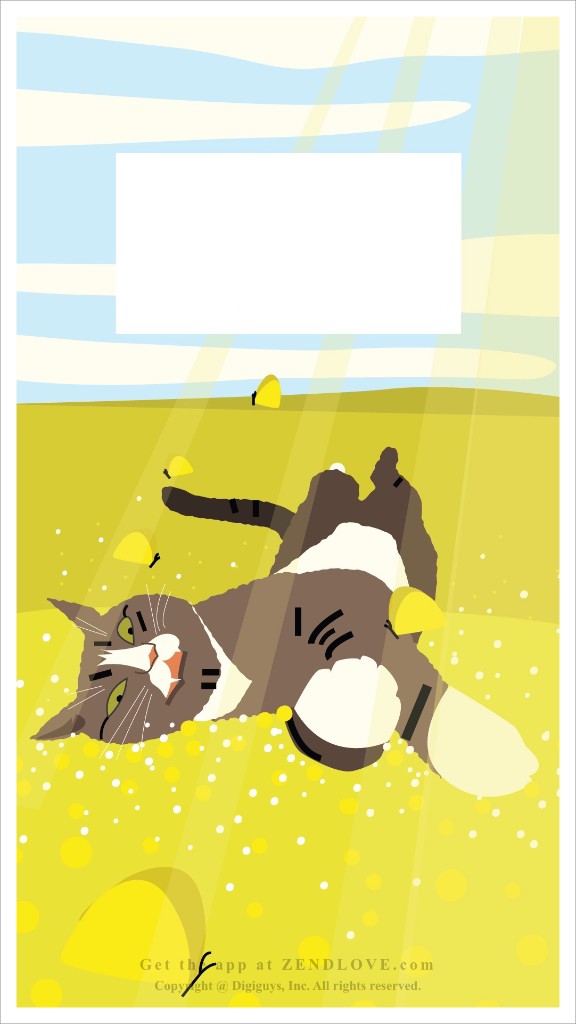 Karolina N - Purrsonality card