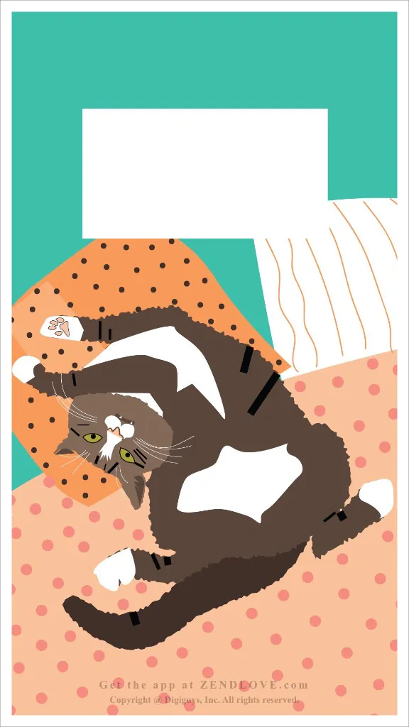 Karolina N - Purrsonality card