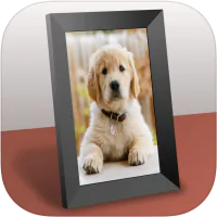 Collage Frame Widget