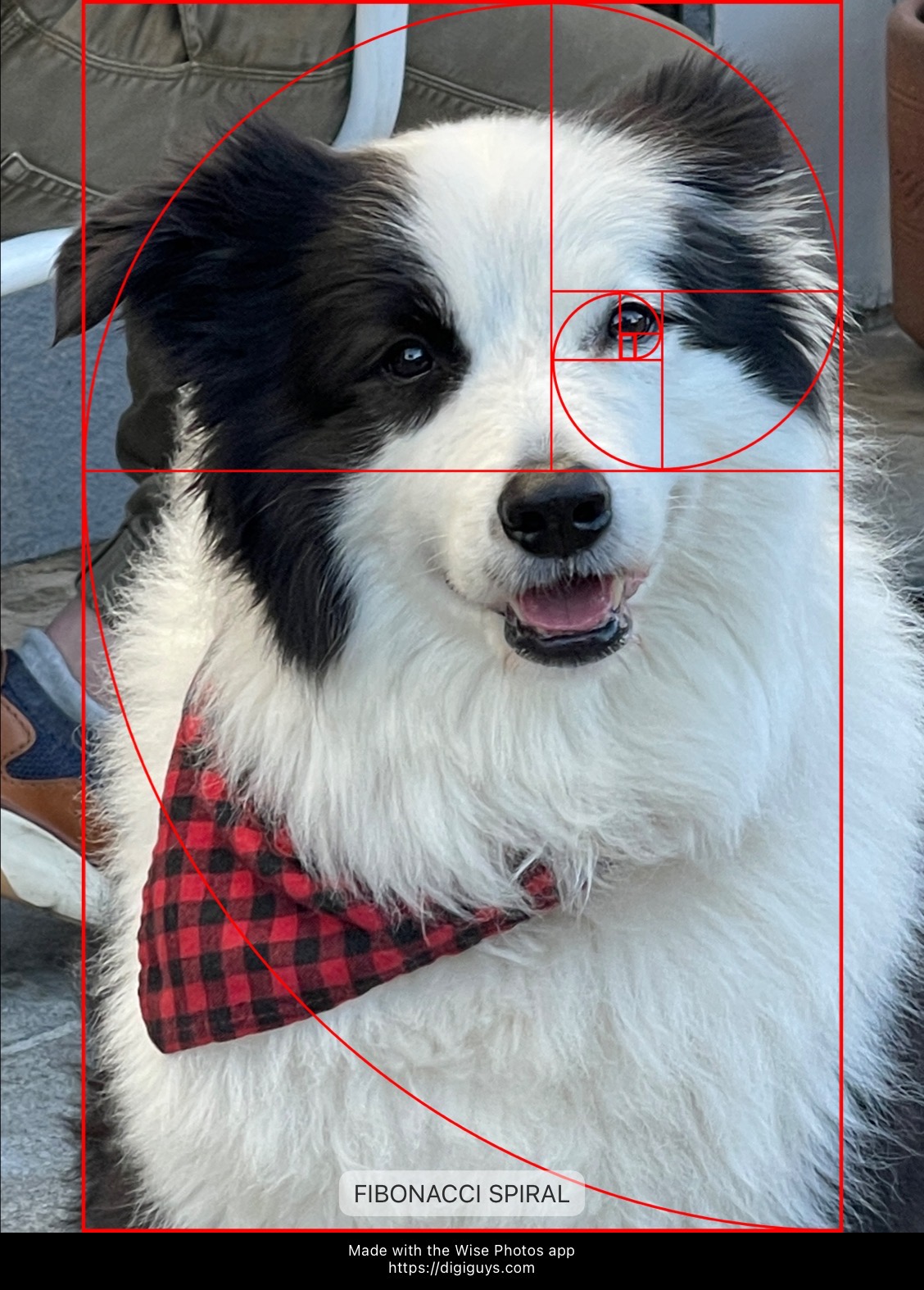 Community photo — artistic composition