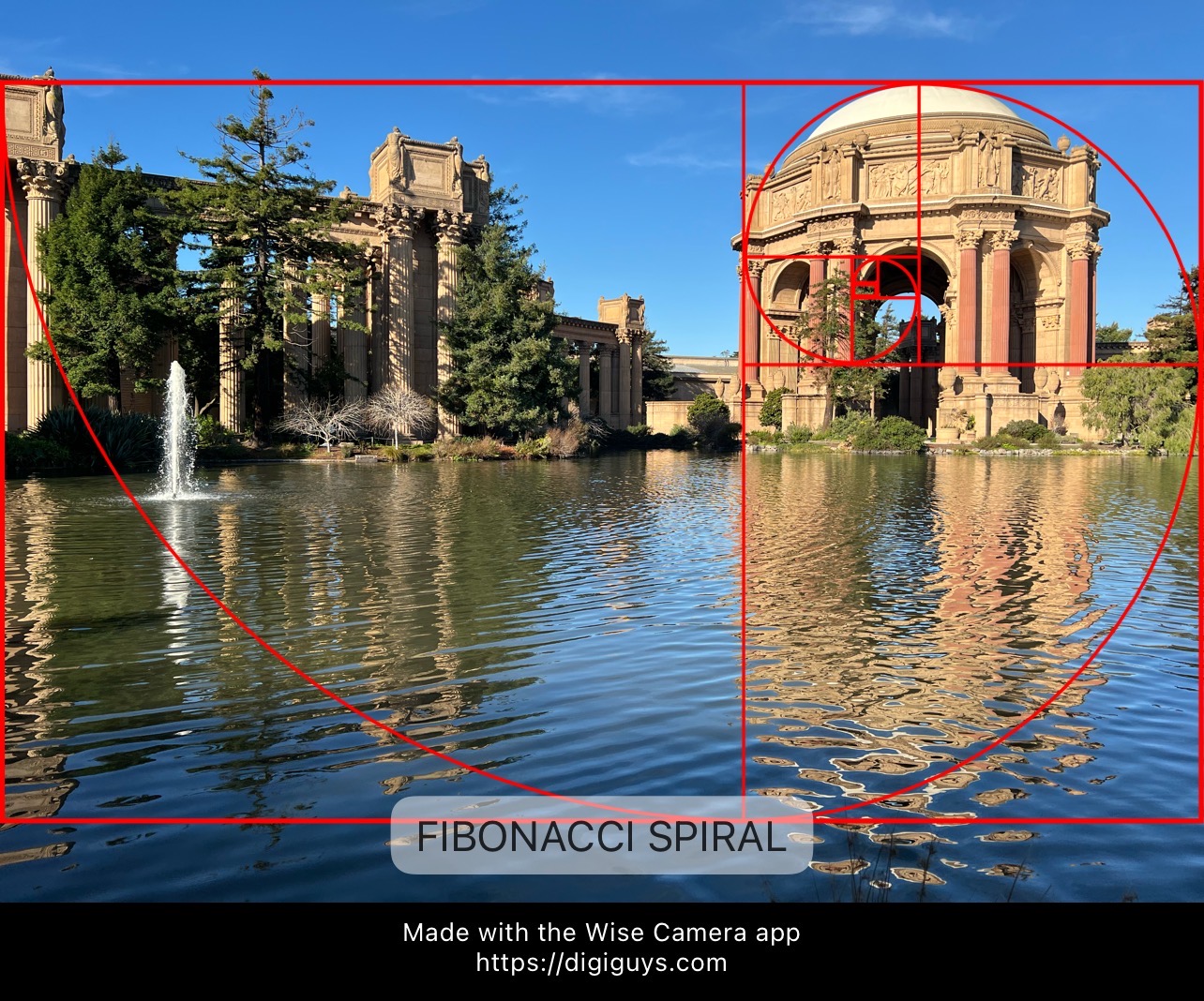 Community photo — artistic composition