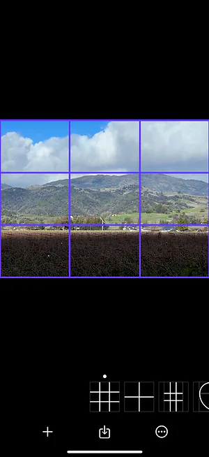Wise Camera — with color filter applied
