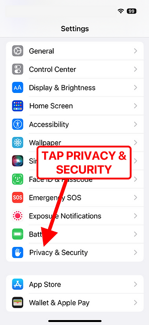 Settings — Privacy — Photos