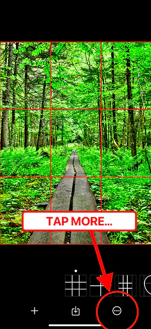 Wise Camera — tap Restore Purchases