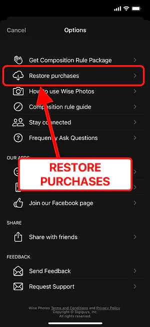 Wise Camera — restore in progress