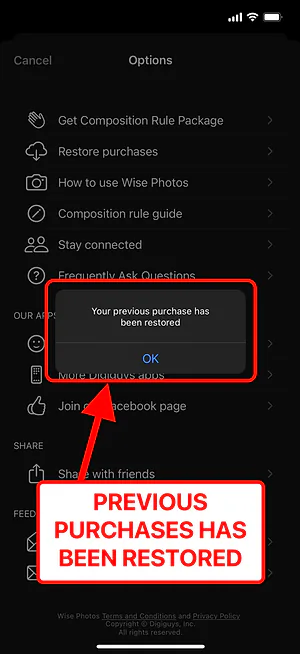 Wise Camera — restore complete