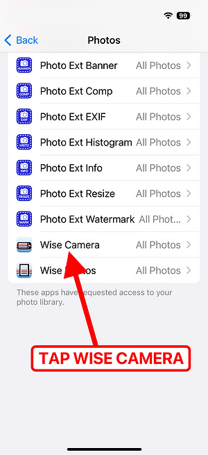 Wise Camera — select permission level