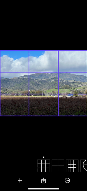 Wise Photos — with color filter applied