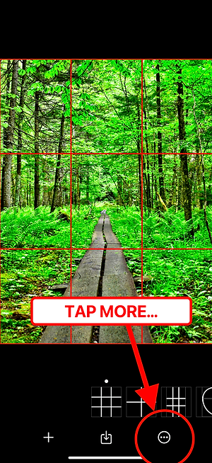 Wise Photos — tap Restore Purchases