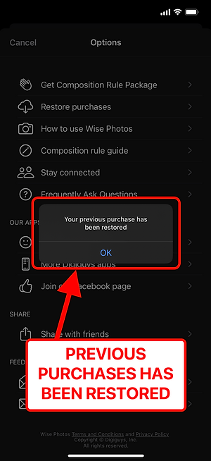 Wise Photos — restore complete