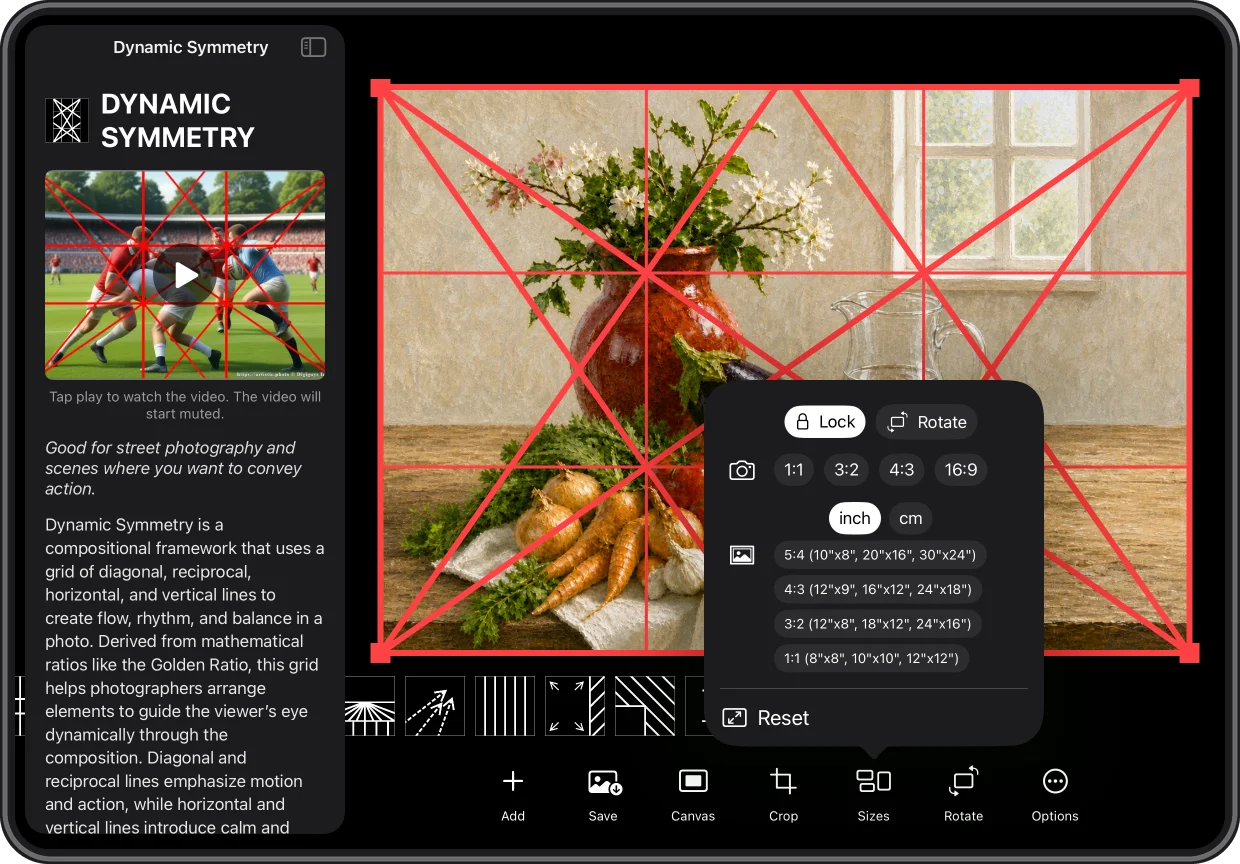 Wise Photos & Painting Dynamic Symmetry composition on iPad — iPad ready!