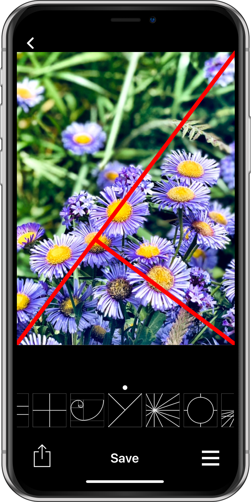 Wise Photos Golden Triangle on iPhone