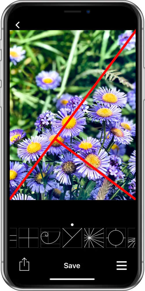 Wise Photos Golden Triangle on iPhone